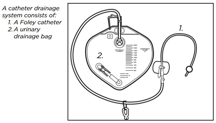 Foley Catheter Connected to Urinary Drainage Bag