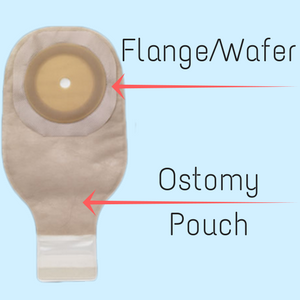 Ostomy Pouch and Ostomy Flange Diagram