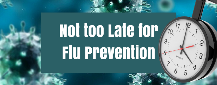 Not too Late to Prevent the Flu Banner