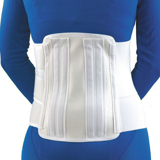 Picture of FLA Orthopedics - 11" Deluxe Lumbar Sacral Back Support