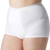 Picture of Salk Health Dri - Women's Washable Incontinence Underwear